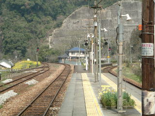 閾w